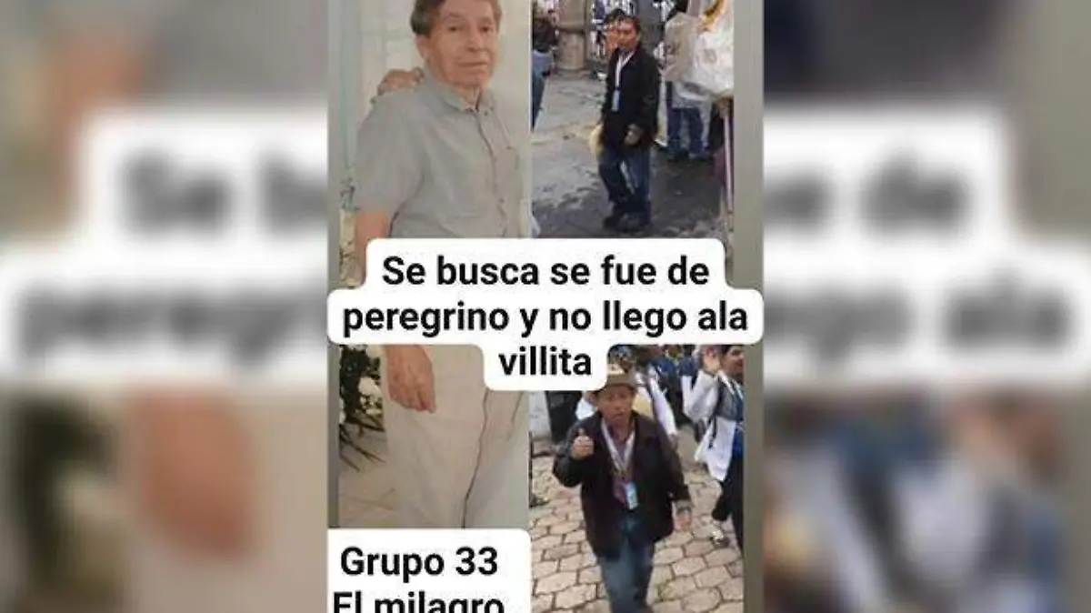 Se busca peregrino